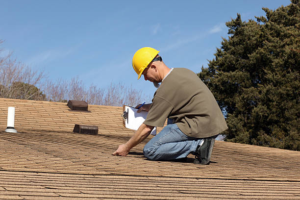 Best Roof Moss and Algae Removal  in Lake Marcel Stillter, WA